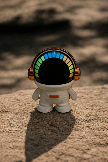 Space Robot